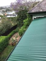 Red Leaf Roof and Gutters image 1